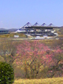 a0053272_22172532.jpg