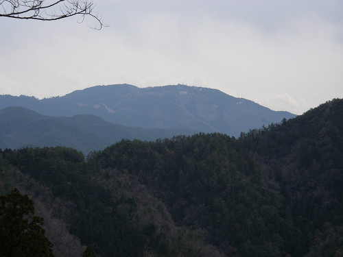 c0002874_21293794.jpg
