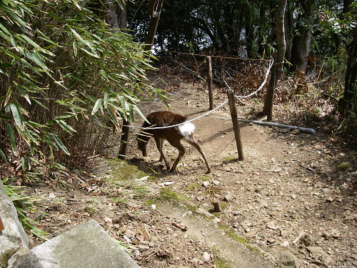 c0002874_2130052.jpg