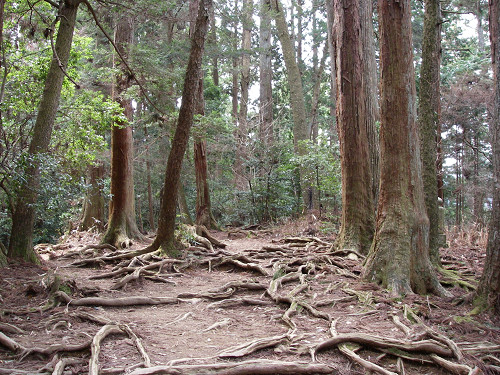 c0002874_21302475.jpg
