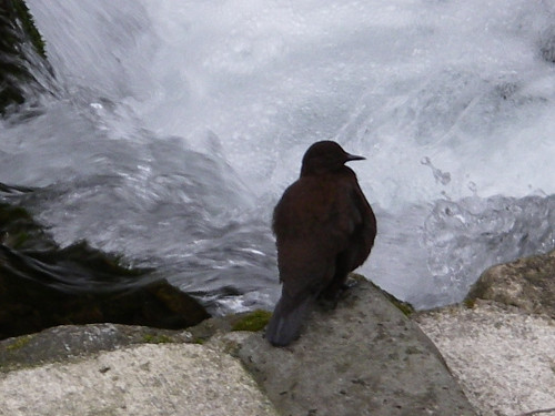 c0002874_21322895.jpg