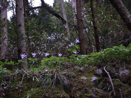 c0002874_2132440.jpg