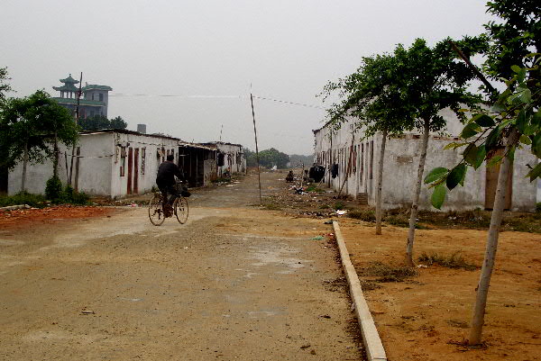 d0047078_013176.jpg