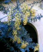 f0004180_145531.jpg