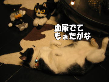 b0041182_051352.jpg