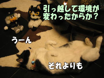 b0041182_05352.jpg
