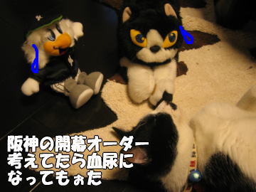 b0041182_05472.jpg