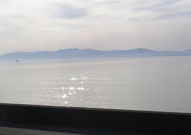 e0023183_2051814.jpg