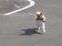 f0035288_1743933.jpg