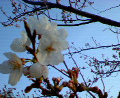 a0025592_23414738.jpg