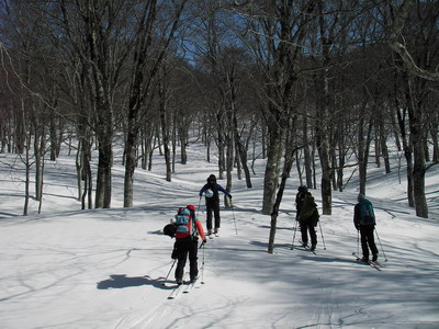 a0043193_2015619.jpg
