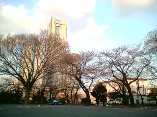 c0072698_1194172.jpg