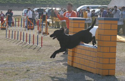 c0050400_018810.jpg