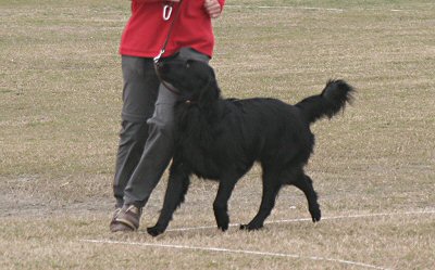 c0050400_16364722.jpg