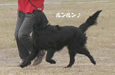 c0050400_1640228.jpg
