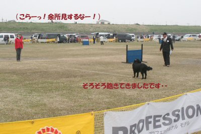 c0050400_172019.jpg