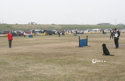 c0050400_179833.jpg