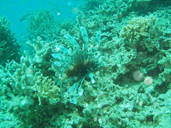 f0023210_2292260.jpg