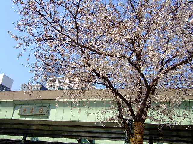 f0014815_2053245.jpg