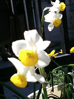 e0026017_232737100.jpg