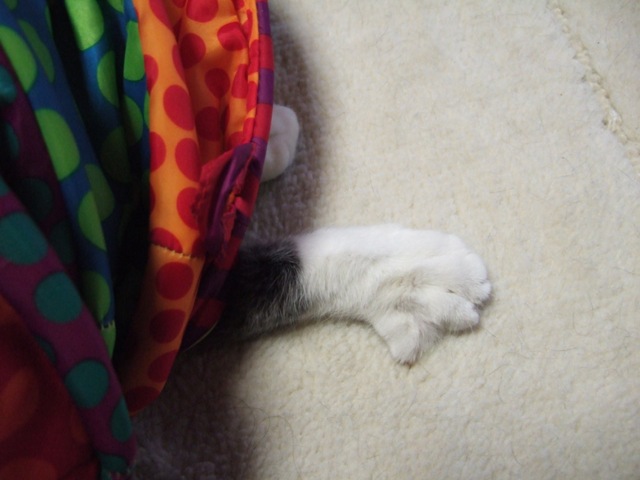 f0032020_16193256.jpg
