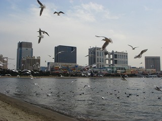 d0023323_23345849.jpg