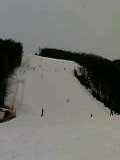 b0035324_2246995.jpg
