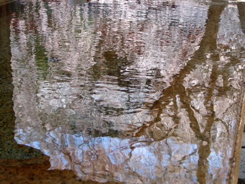 e0089826_21491748.jpg