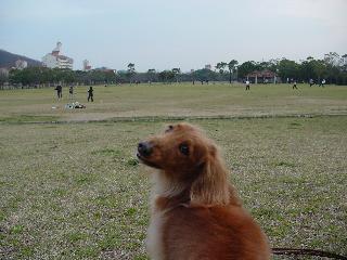 f0088731_1683284.jpg