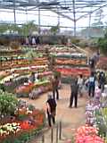 f0073837_1424544.jpg