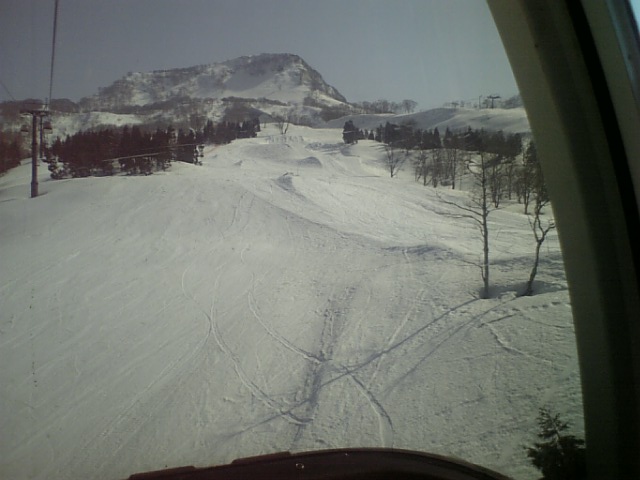 c0054838_2024561.jpg