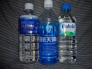 f0069140_176156.jpg