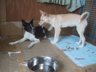 c0065643_20541069.jpg