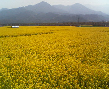 f0054946_20575255.jpg