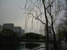 d0036951_18487.jpg