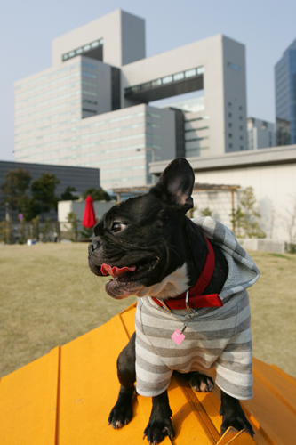 c0029654_21244495.jpg