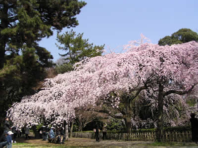 b0054956_21224970.jpg