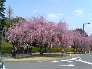 f0055956_1715665.jpg