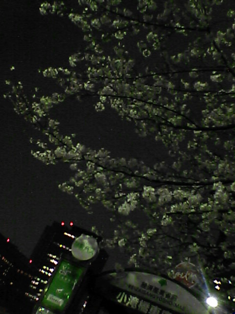 f0077159_2303223.jpg