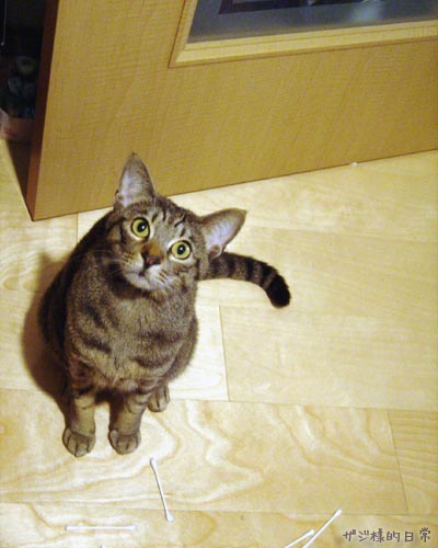 a0001964_22145926.jpg