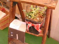 a0046675_21405014.jpg