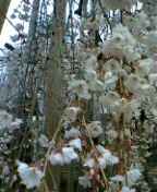 f0004180_814146.jpg