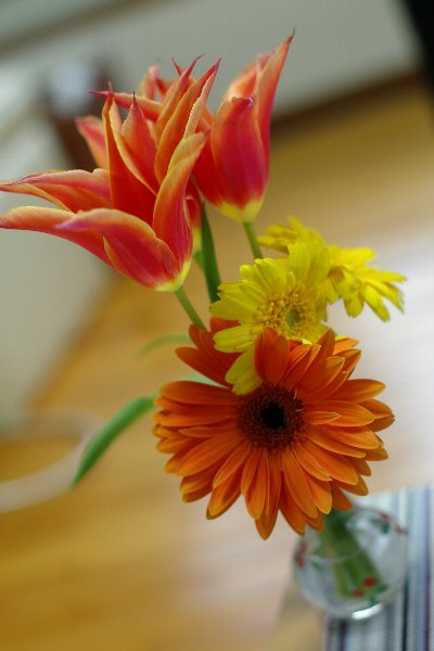 a0030792_2163767.jpg