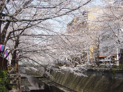 b0041903_0125981.gif