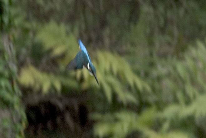 f0063403_22125923.jpg