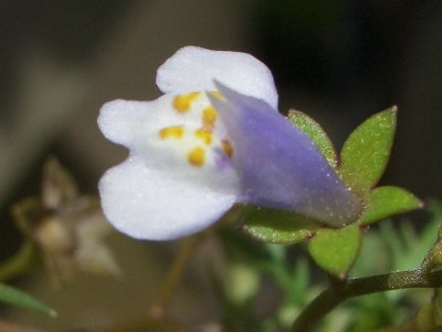 b0061107_2155036.jpg