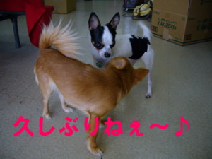 e0032508_14511539.jpg