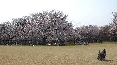 e0078510_2234253.jpg
