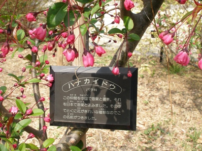 e0083212_1627143.jpg