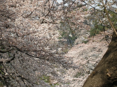 e0083212_19542212.jpg